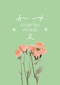 Fleurs roses et douceur du mois de Juin